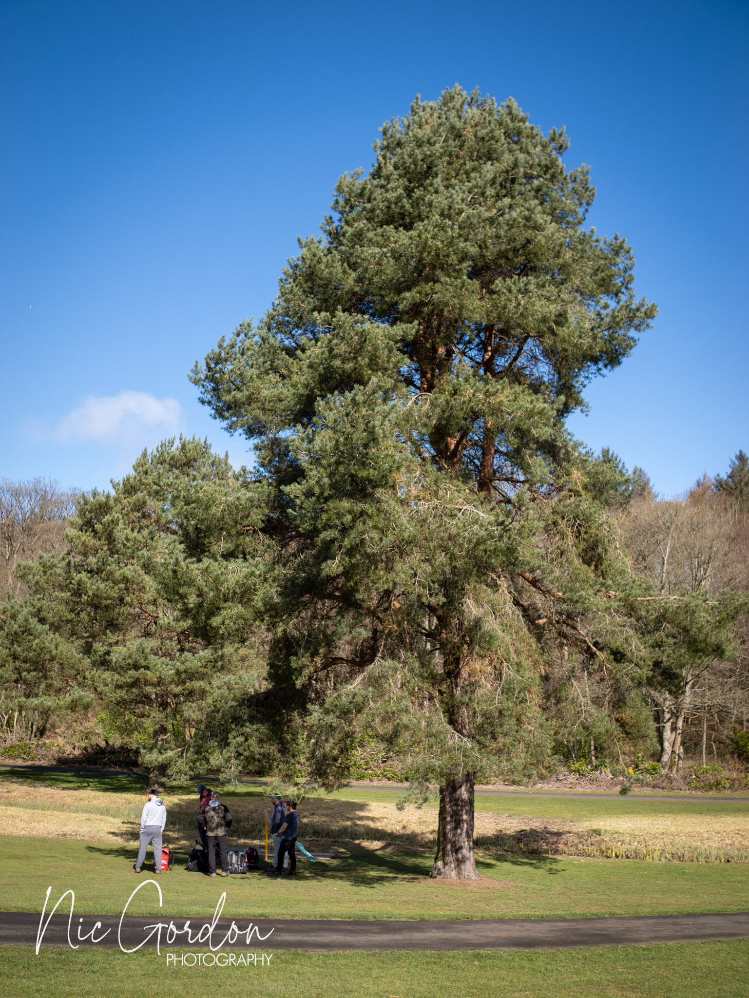 Scottish matchplay 2026 1001625