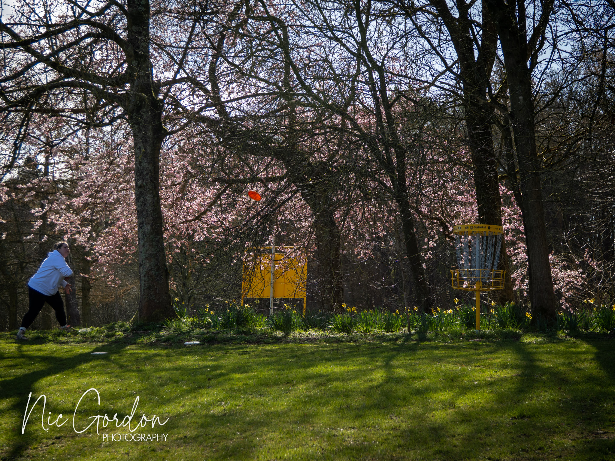 Scottish matchplay 2026 1001652