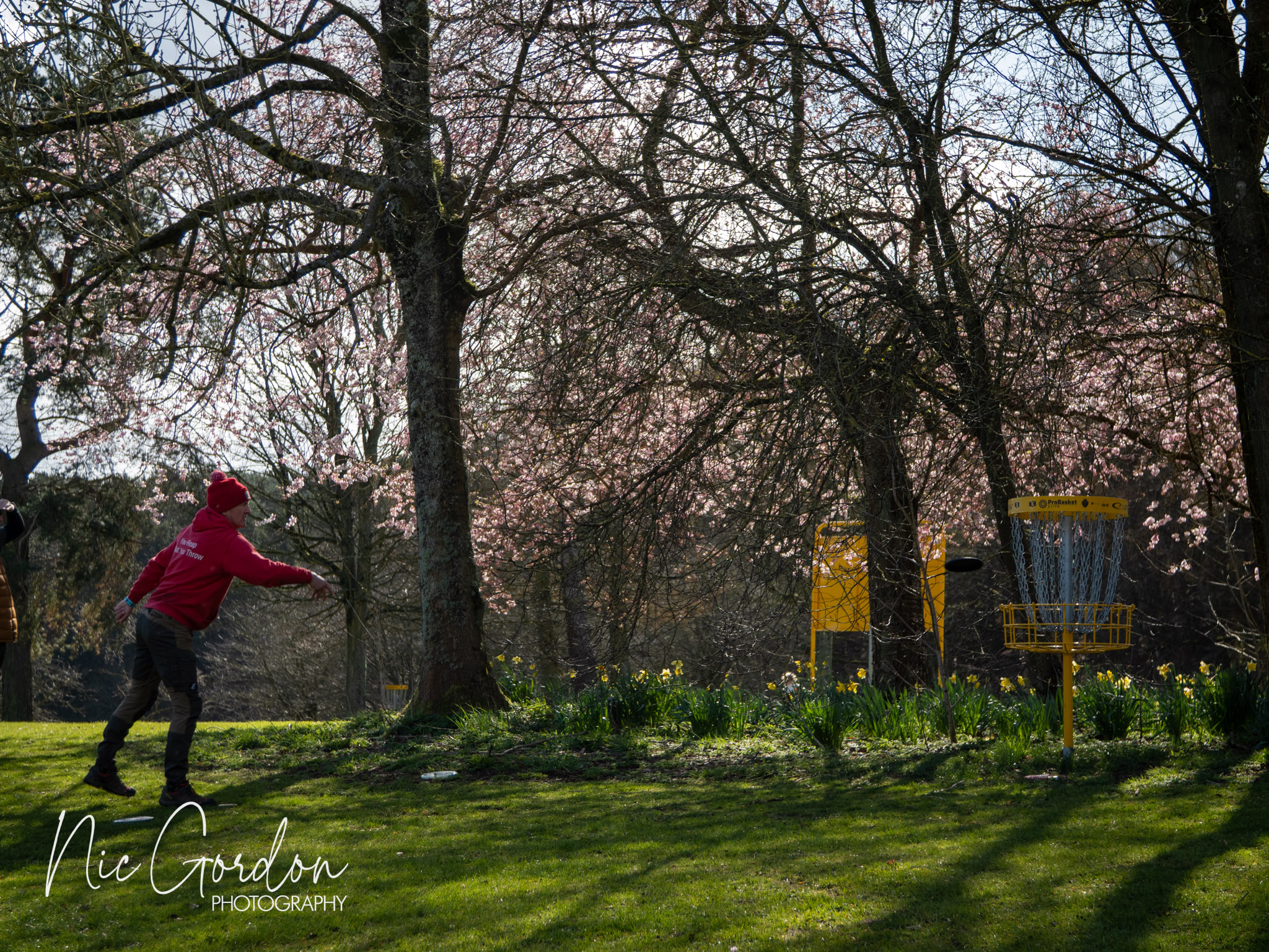 Scottish matchplay 2026 1001655