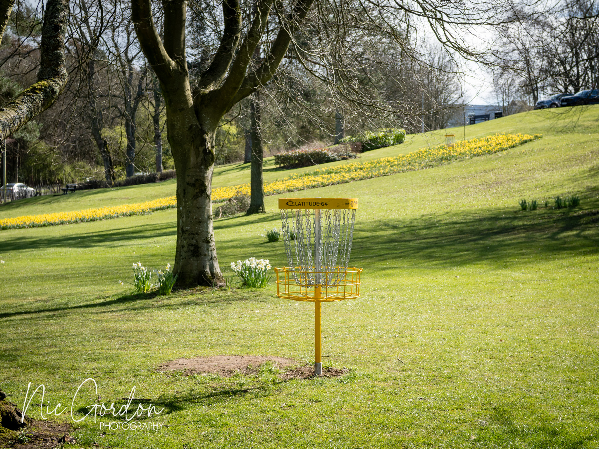 Scottish matchplay 2026 1001692