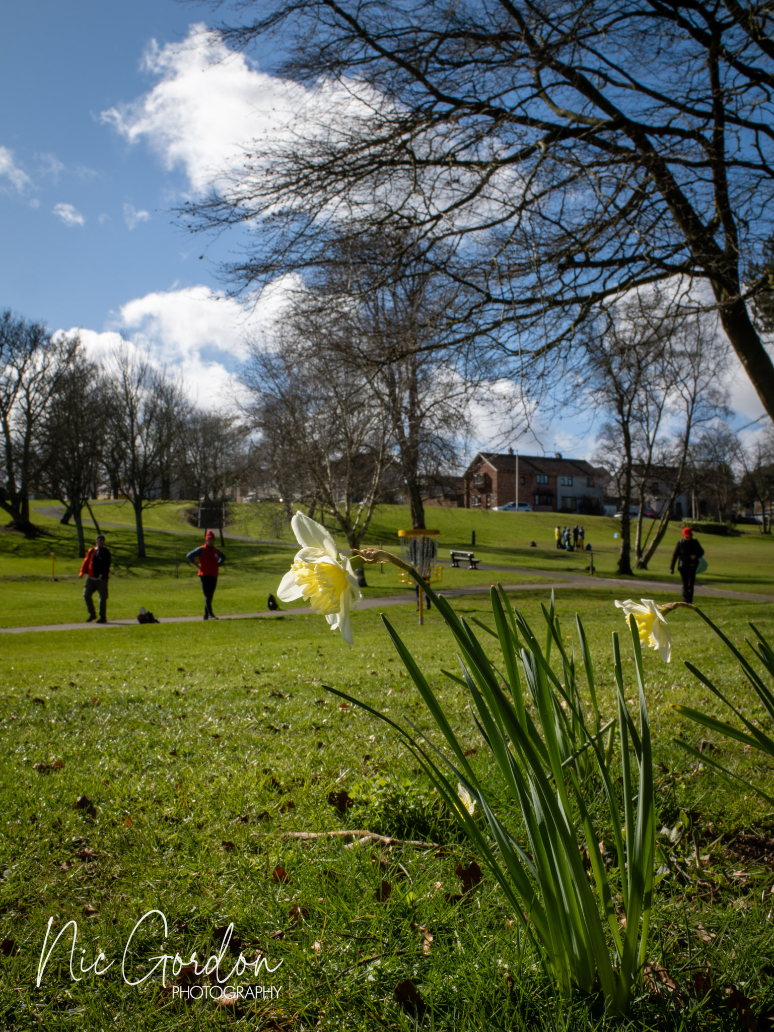 Scottish matchplay 2026 1001705