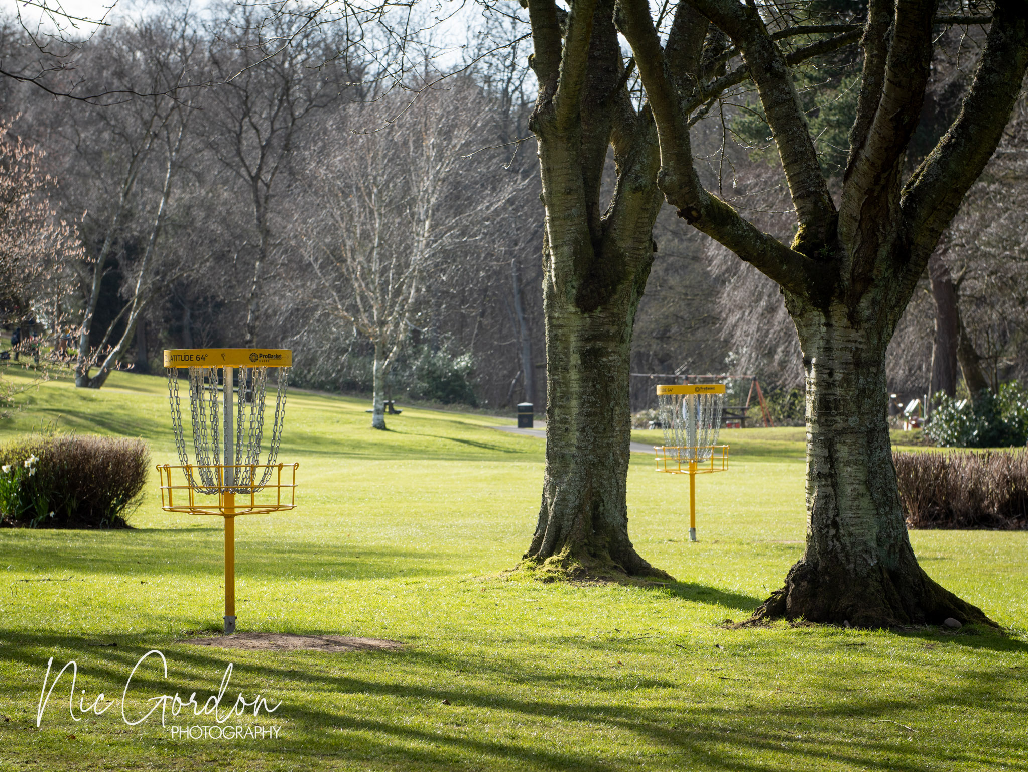 Scottish matchplay 2026 1002399