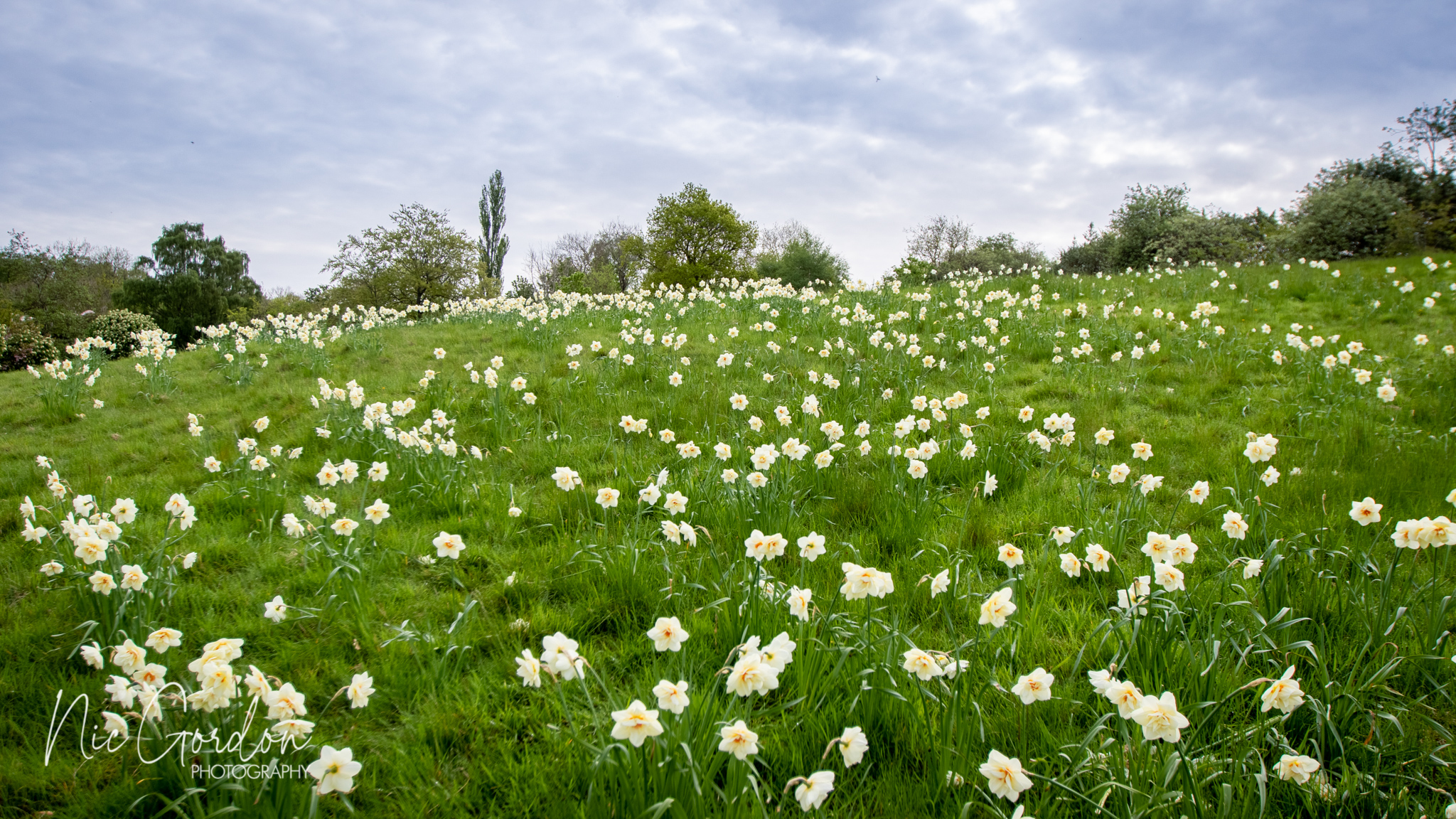 Glasgow GIAB Open 2022 2515