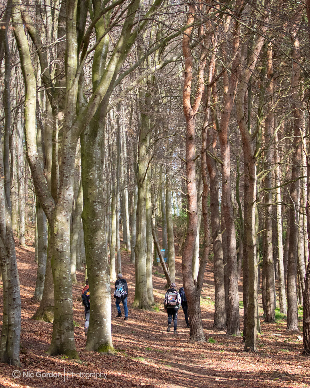 Spring Sling 2022 0416