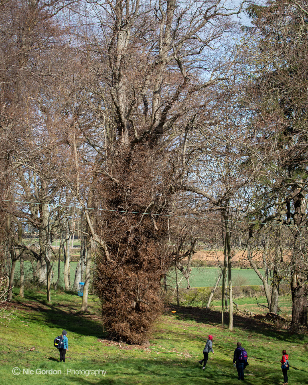 Spring Sling 2022 0599